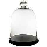 CYS EXCEL Glass Cloche Bell Jar Dome Plant Terrarium Cover Cake Stand Multifunctional (type 2 with w | Amazon (US)