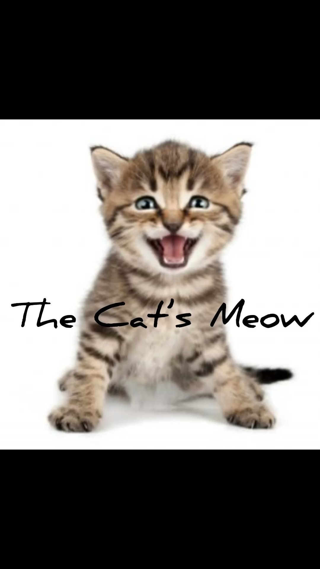 The Cat’s Meow. Cat owners already know the benefits of owning a feline; cats are low-maintenance and, like dogs, offer mental, emotional, and physical health benefits. 

#LTKFindsUnder100 #LTKFindsUnder50