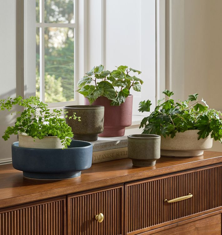 Ava Ceramic Planters | Rejuvenation