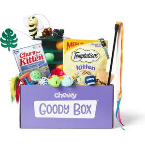 Goody Box Kitten Toys & Treats | Chewy.com