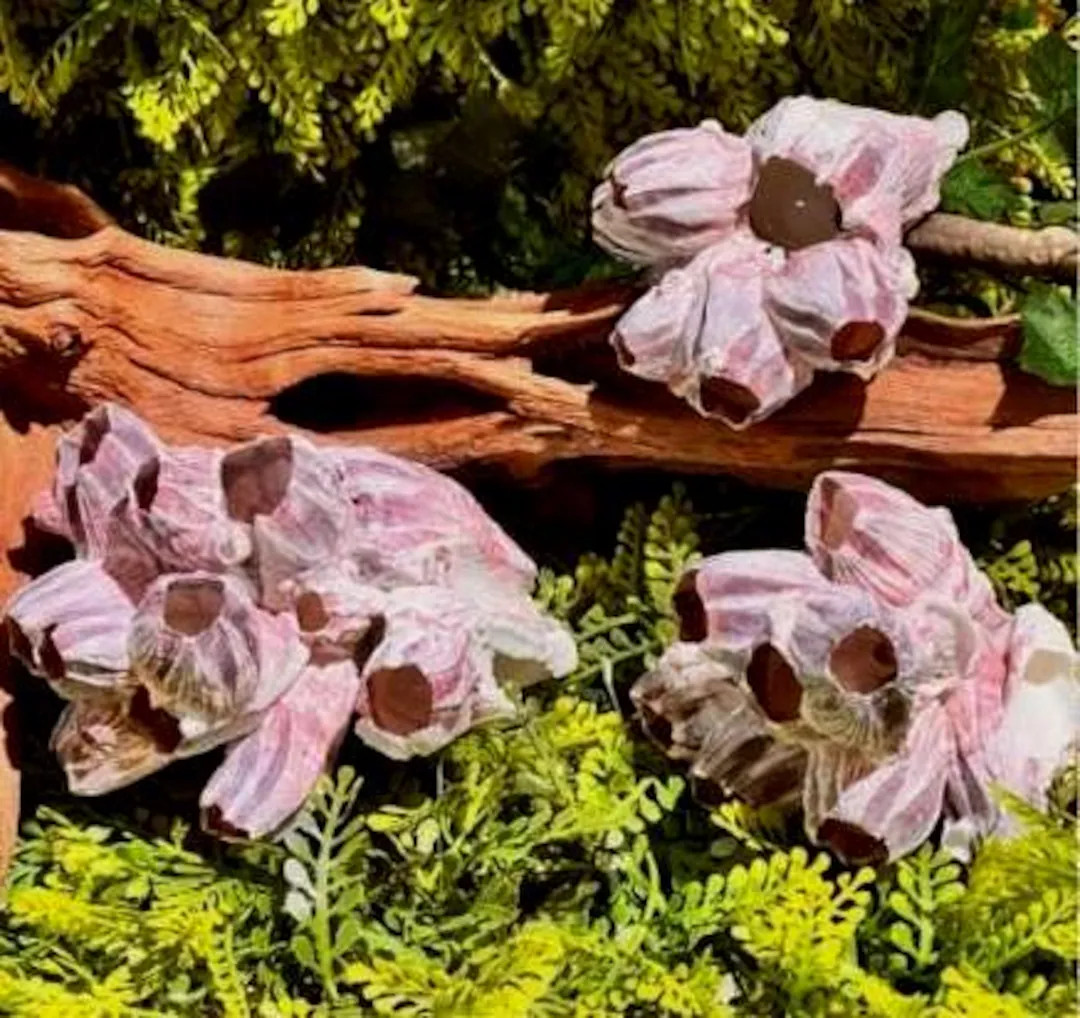 Only 9 left and in 1 cart | Etsy (US)