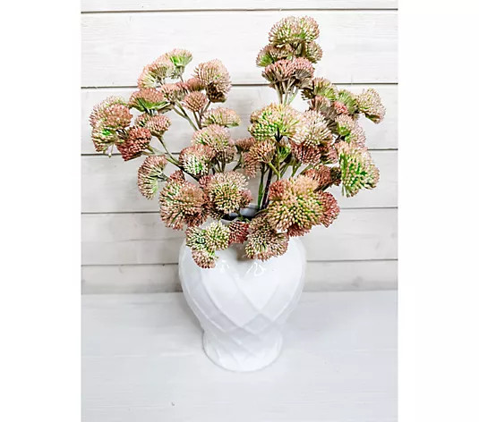 Make Your Selection: Simply Stunning Set of 5 Pink Sedum by Janine Graff | QVC
