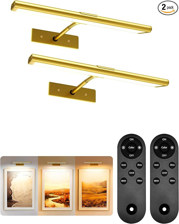 EZVALO Picture Light for Wall, 4800mAh Rechargeable Wireless Remote, 13\u2018\u2019 Dimmable Magn... | Amazon (US)