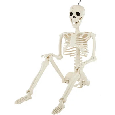 36" Halloween Posable Skeleton Decorations 3FT Realistic Plastic Human Full Body Bones With Movable Joints Skeleton For Haunted House Graveyard Props | Wayfair North America