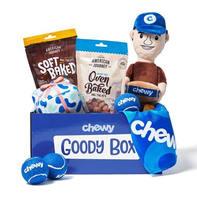 Goody Box Chewy Toys, Treats, & Bandana for Dogs | Chewy.com