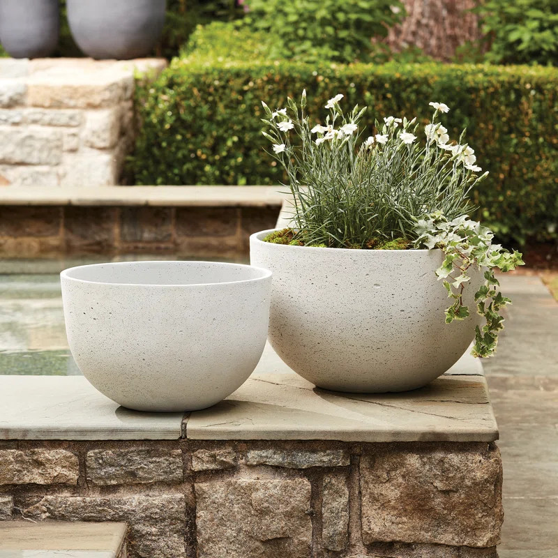Mariana Lightweight Concrete Jesse Wide Pots in Limestone Wash (Set of 2) | Wayfair North America