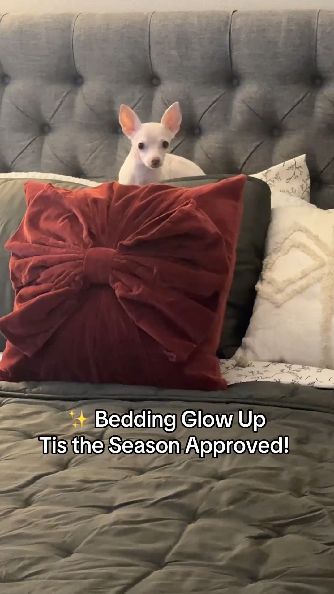My bed needed a holiday glow-up and Target delivered 🎄☕️ CasaLuna bedding, Threshold mistletoe sheets, and red bow pillows for that perfect cozy-chic mix. Ophelia has officially claimed it as her throne 🐾✨ 

#LTKHoliday #LTKSeasonal #LTKHome