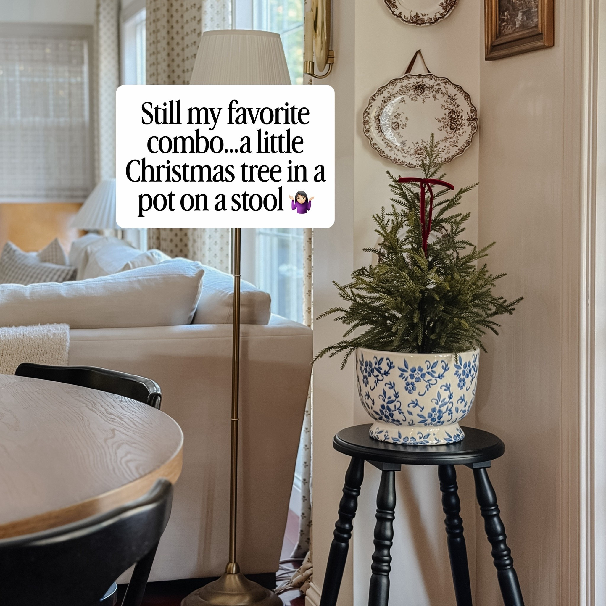 Still one of my favorite Christmas decorating combos! 🎄❤️ A little Christmas tree tucked into a pretty blue and white planter and styled on a stool is such an easy way to add a little holiday charm without taking up much space. I love how it adds that cozy, collected look to a room! Sometimes the simplest decorating ideas are the best ones. ✨

#LTKSeasonal #LTKHome