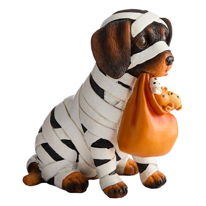 Dog in Mummy Costume, 5.9" | At Home