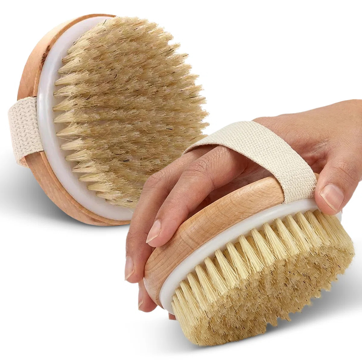 Cheer Collection Set of 2 Round Natural Bristle Exfoliating Body Brushes (Set of 2) | Wayfair North America