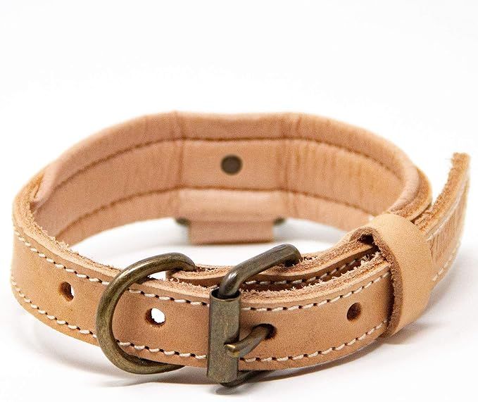 Logical Leather Deluxe Padded Genuine Full Grain Leather Collar (Small, Tan) | Amazon (US)