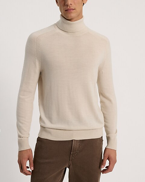 Merino Wool Turtleneck Sweater | Express