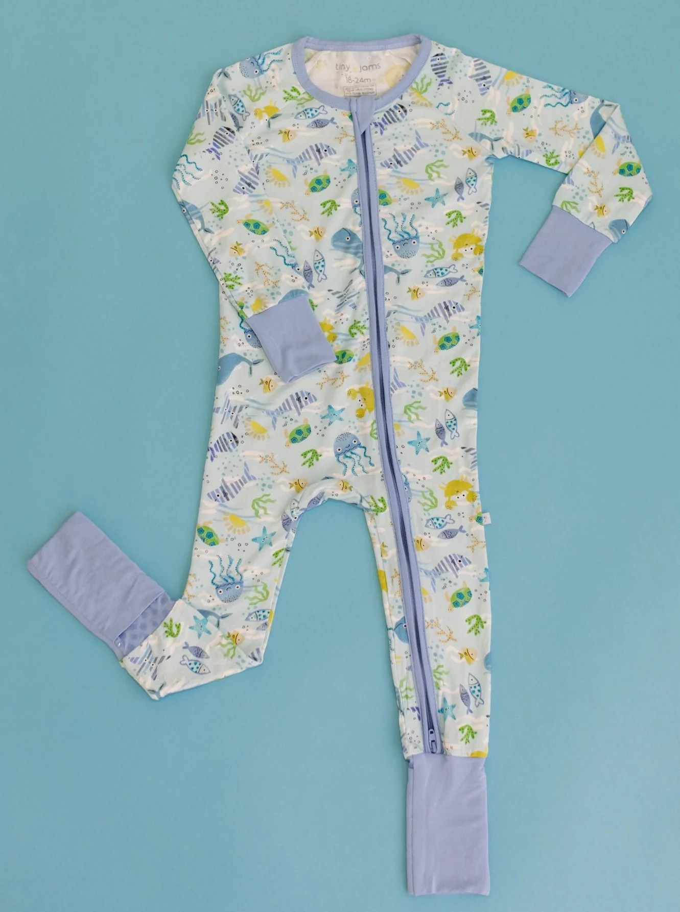 Ocean Friends Zippy | Tiny Jams