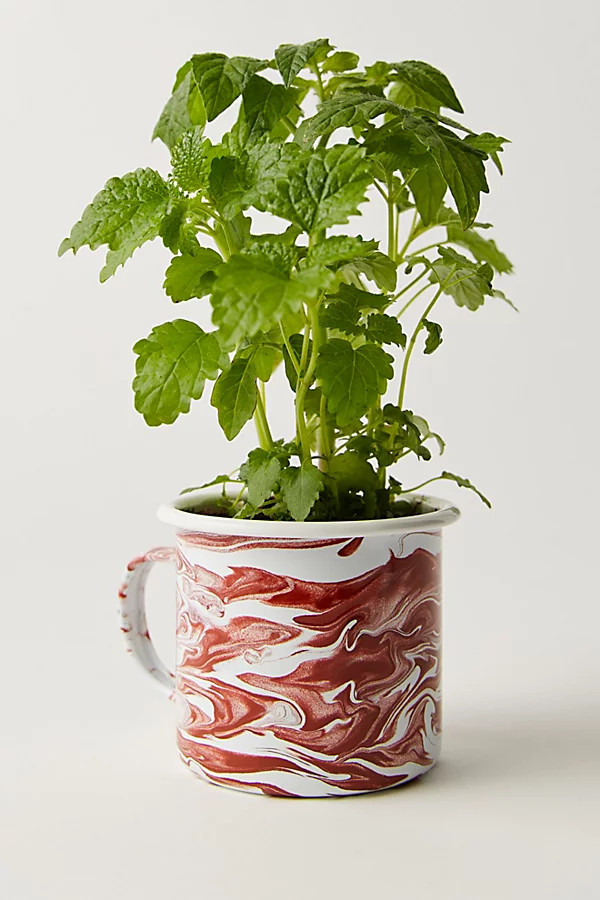 Altered Herb Mug Grow Kit | Free People (Global - UK&FR Excluded)