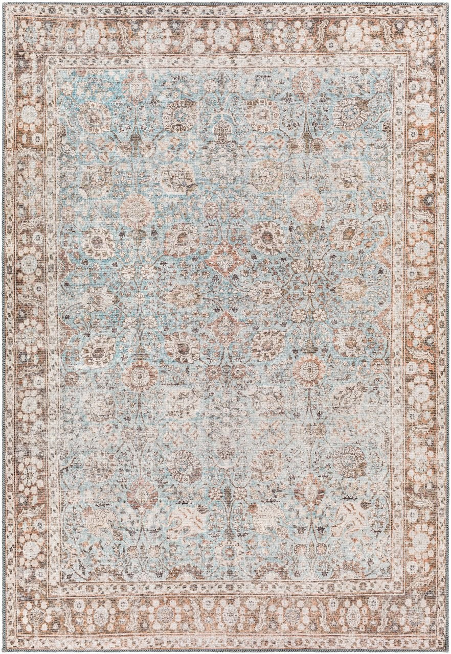 Dauis Washable Area Rug | Boutique Rugs