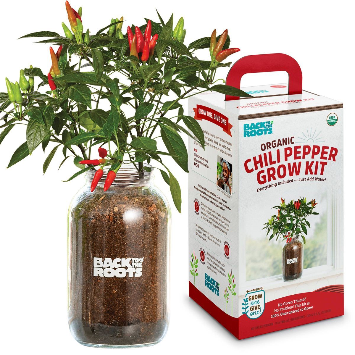 Back to the Roots Organic Chili Pepper Grow Kit | Target