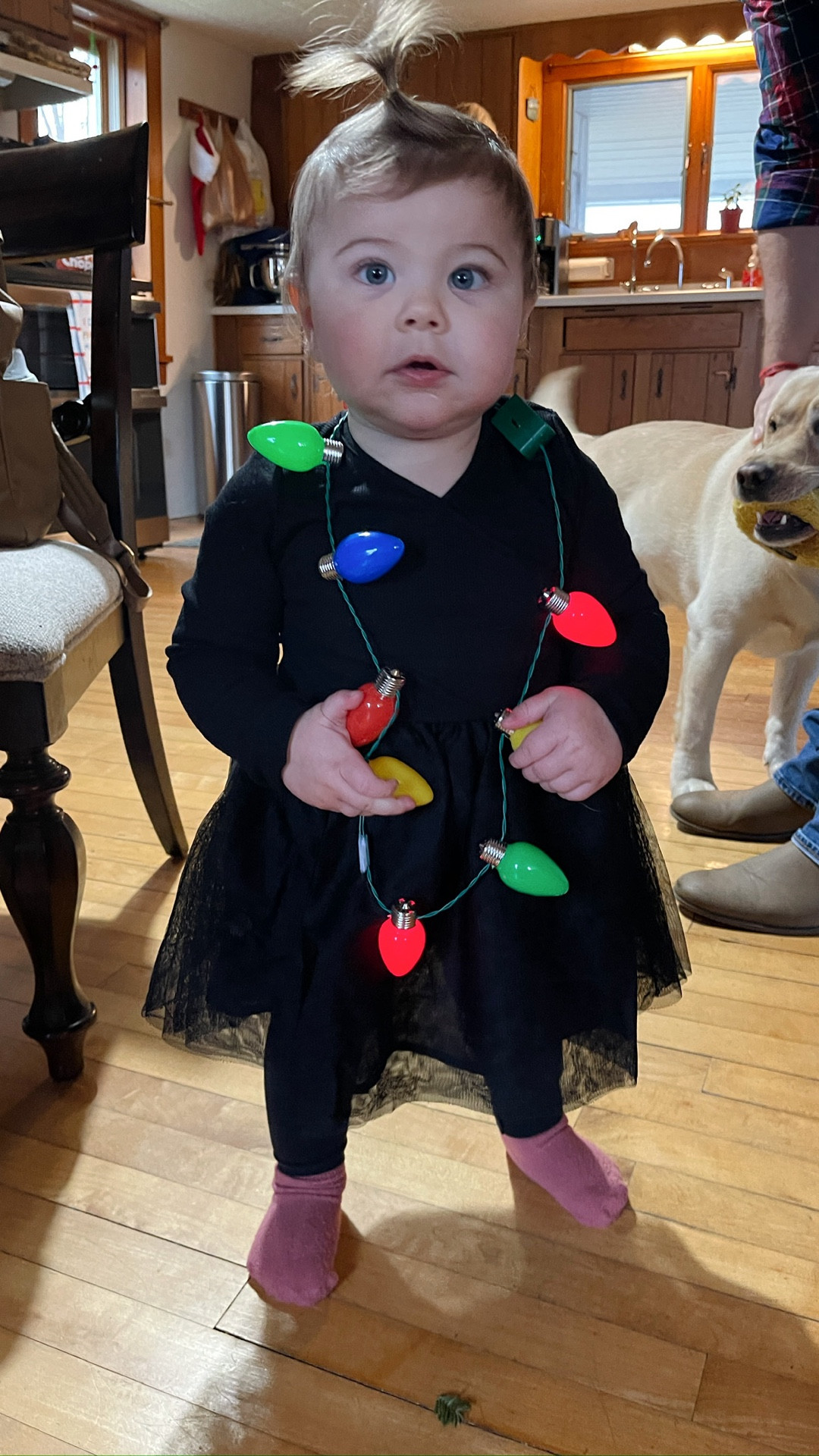 The cutest light necklace for the holidays! Great for parties and Christmas Day! These come in a pack of 4 and arrive before Christmas Eve!

#LTKKids #LTKBaby #LTKHoliday