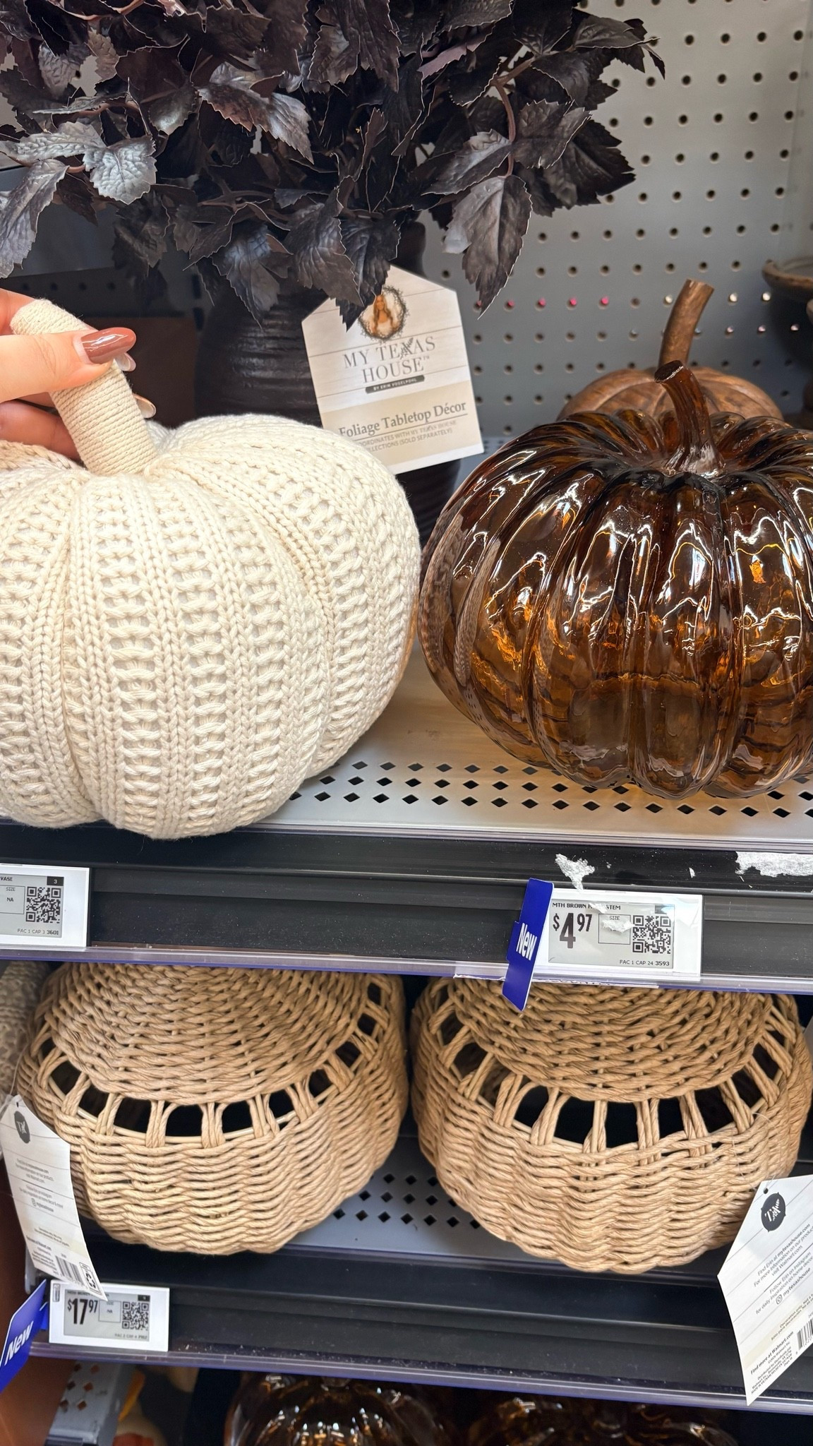The cutest pumpkin decor!

Walmart / Walmart finds / Walmart home decor / fall decor / fall home decor / autumn home decor / autumn decor / pumpkins / pumpkin / pumpkin decor / pumpkin home decor / woven pumpkin / fabric pumpkin / glass pumpkin / pumpkin candles / pumpkin candle / sale / sale alert

#LTKHome #LTKSeasonal #LTKSaleAlert