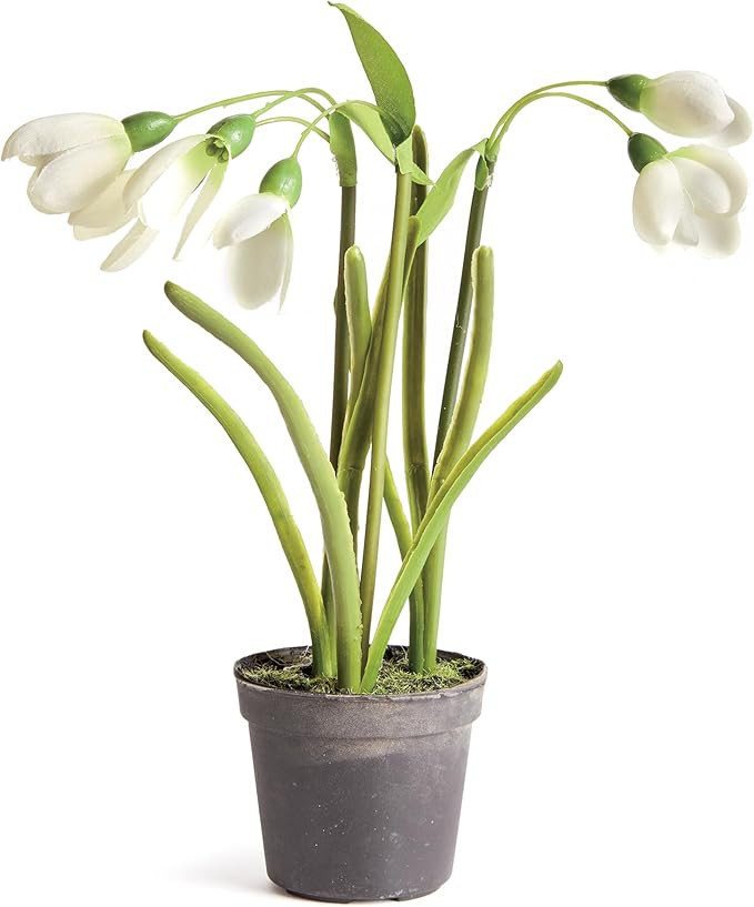 NAPA Home & Garden, Snowdrop Drop-in | Amazon (US)