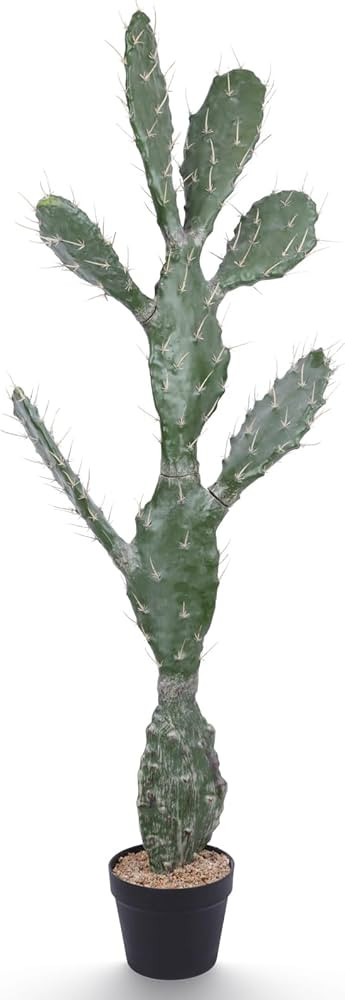 Artificial Cactus Potted Plant 51 Inch Faux Desert Cacti Fake Big Cactus Plant with Black Planter... | Amazon (US)