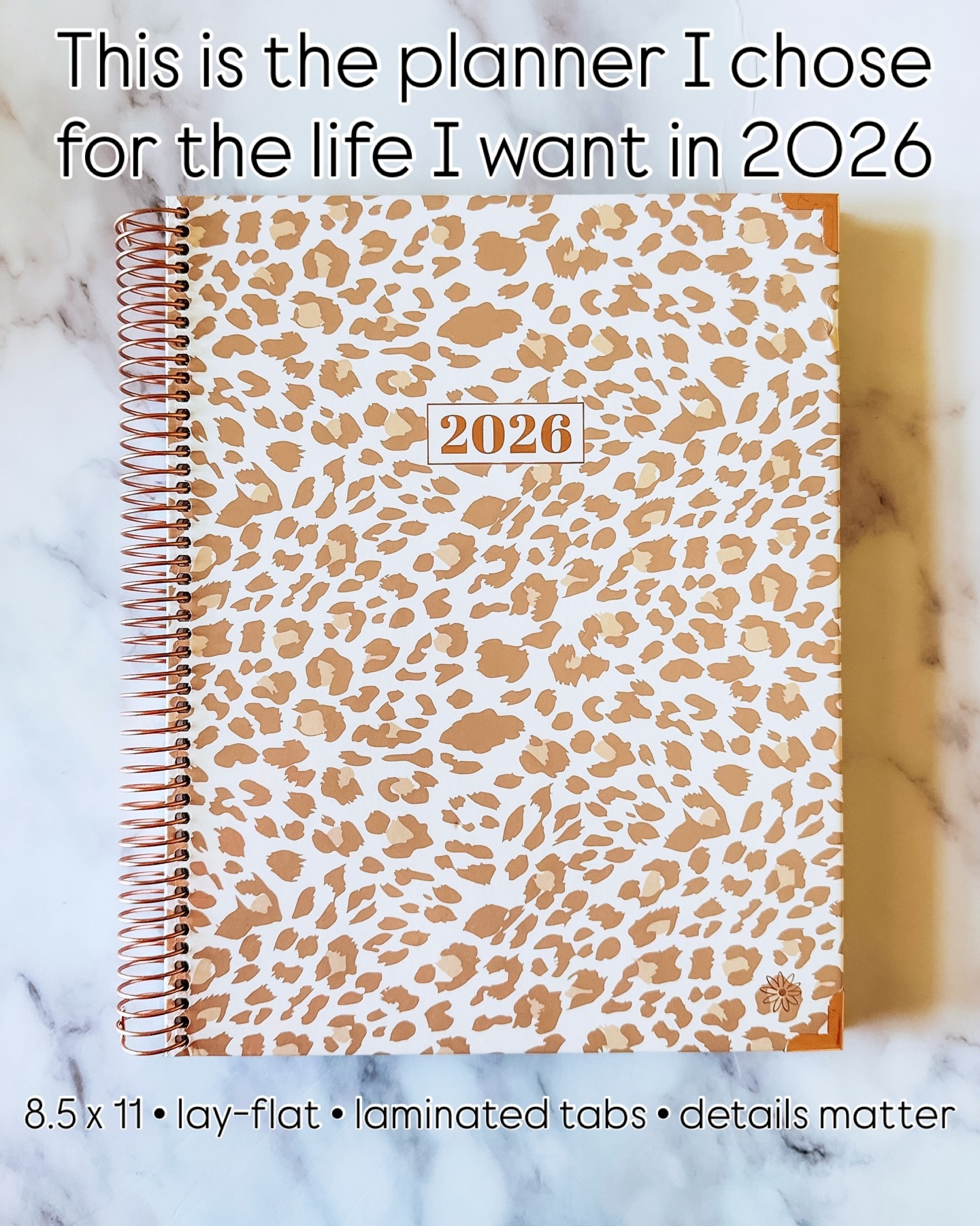 ✨2026 doesn’t need to be perfect. It just needs a plan✨

I didn’t choose this planner to “get more done.”
I chose it to feel more grounded, organized, & intentional in 2026.

At this stage of life, I want tools that support my goals & my peace. This planner helps me see the big picture, plan my weeks realistically, and stay consistent without burnout.

If you’re ready to feel more in control of your time (& less overwhelmed by it) this might be the planner you’ve been looking for. 

Linked on LTK for anyone planning ahead for 2026🤍🗓️

#2026Planner #PlannerInspo #IntentionalLiving #OrganizedLife #WomenOver40 #MomLifeOrganization #LifePlanning #GoalSettingJourney
#HabitTracking #PlanYourLife #PlannerAddict #ProductivityWithPurpose #OrganizedMom #ElevatedEveryday #PlanningAhead #LifestylePlanning #TimeManagementForWomen #WeeklyPlanning #MonthlyPlanning #PaperPlanner #MindfulPlanning #LTKFinds #LTKHome #LTKLifestyle