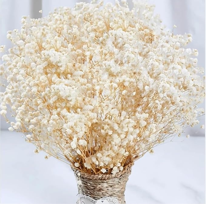 4000+ Dried Babys Breath Flowers Bulk - 17" Ivory White Dried Flower Bouquet, Real Natural Gypsop... | Amazon (US)