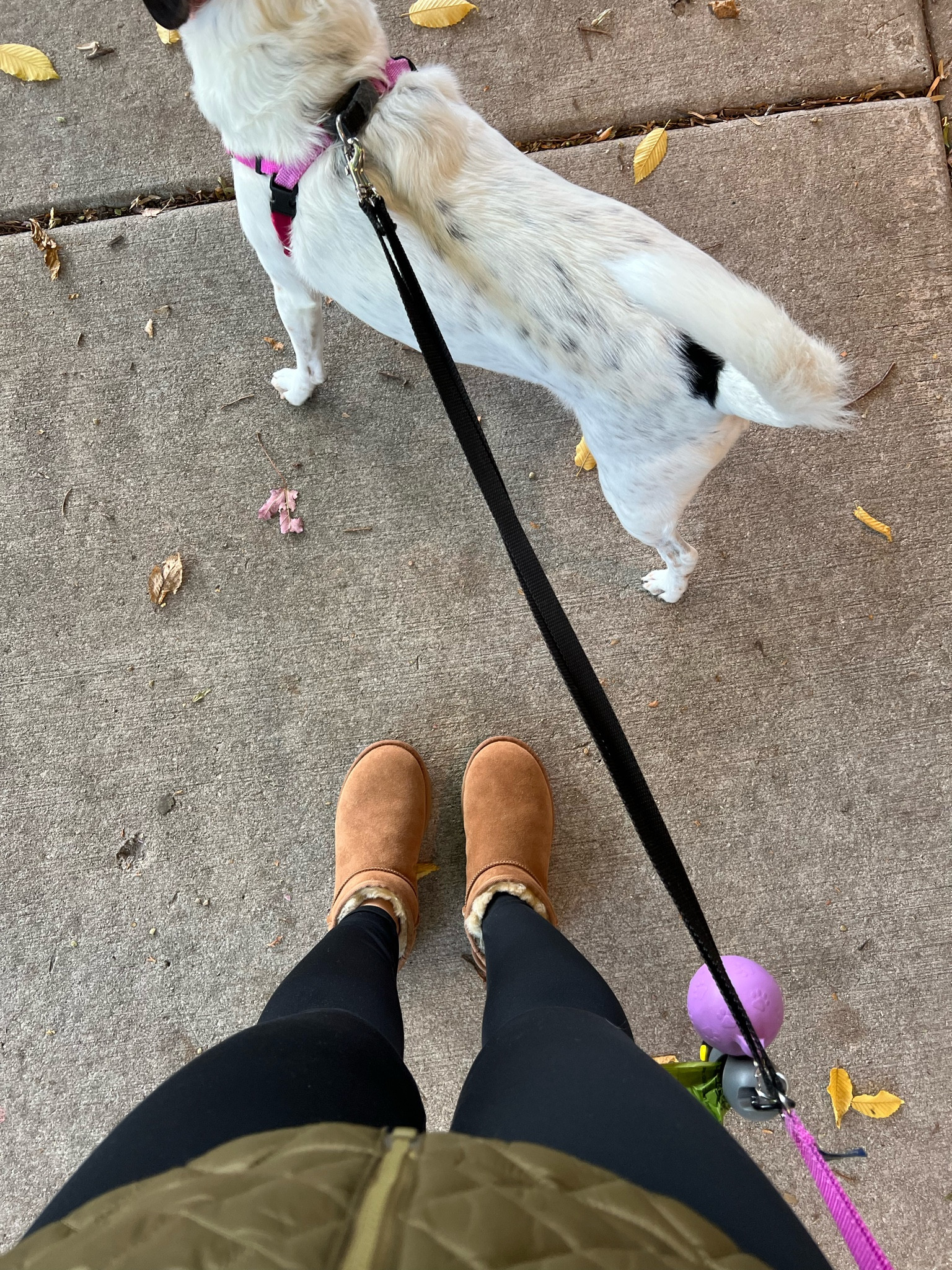 Ugg season! I’m usually a 6.5 and I got a 7. Also use code YES10 for $10 off my sweatshirt! 

#LTKSeasonal #LTKGiftGuide #LTKfindsunder100