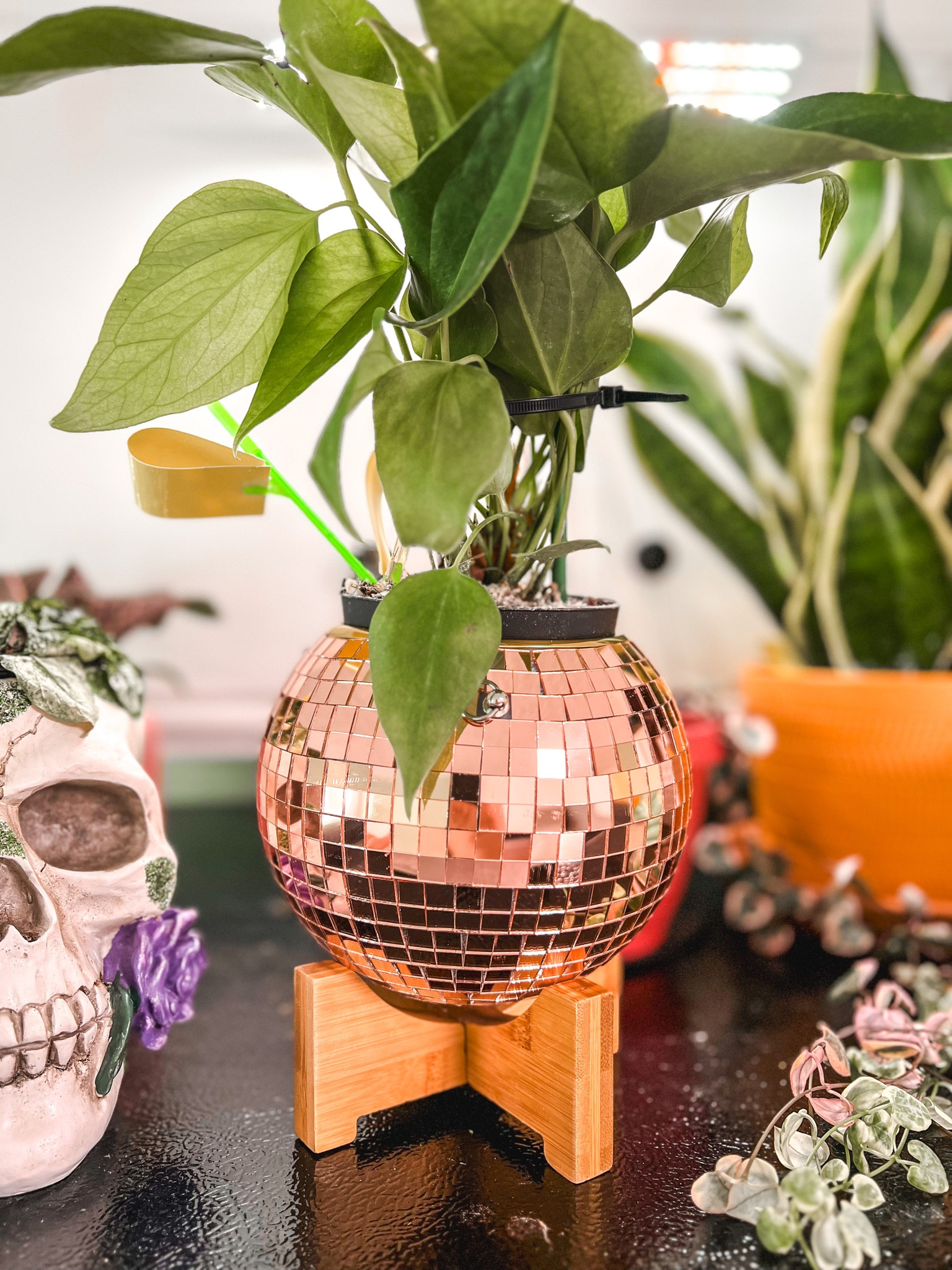 My new pots came in! I’m using the stand from another pot I got due to the ball not being able to stand ion it’s own. Unfortunately the description was incorrect on this being able to stand alone and not just hang  

#LTKhome