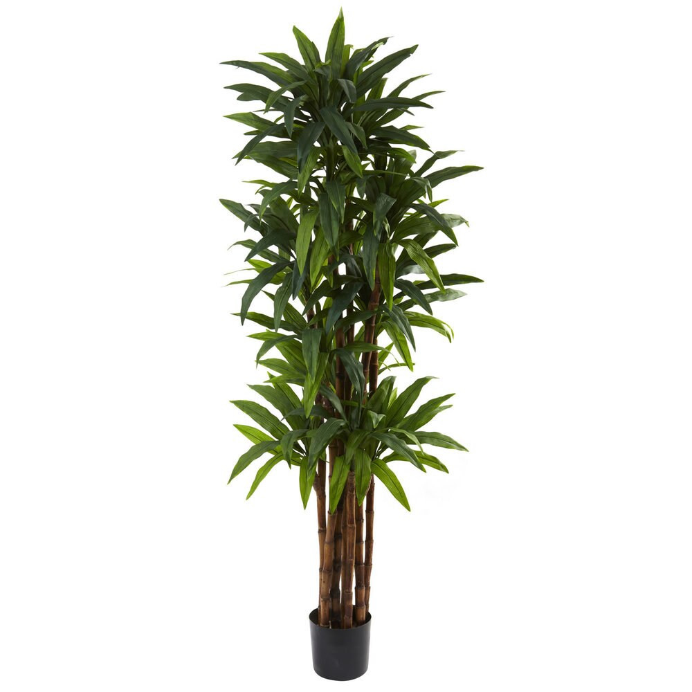6.5-foot Dracaena Tree (6.5' Dracaena Tree) | Bed Bath & Beyond