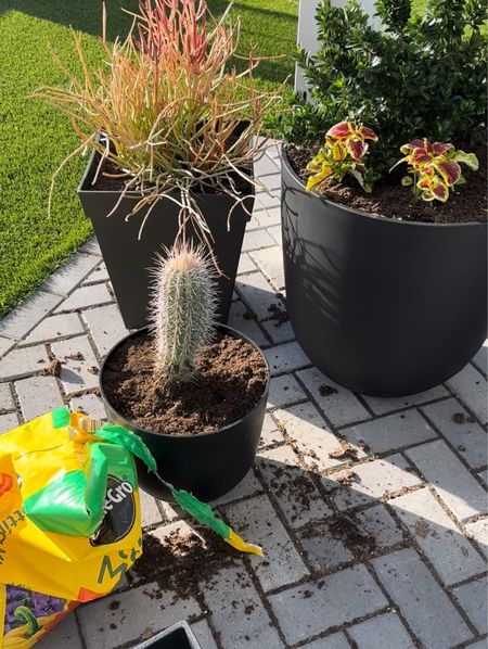 Having FUN planting plants 🪴 in our backyard in Arizona. I found these perfect pots that match my decor perfectly! 🖤 Adding potted plants are a great way to make your patio feel more welcoming. I grabbed (3) different shapes + sizes for dimension from the patio. 

#LTKhome #LTKSeasonal