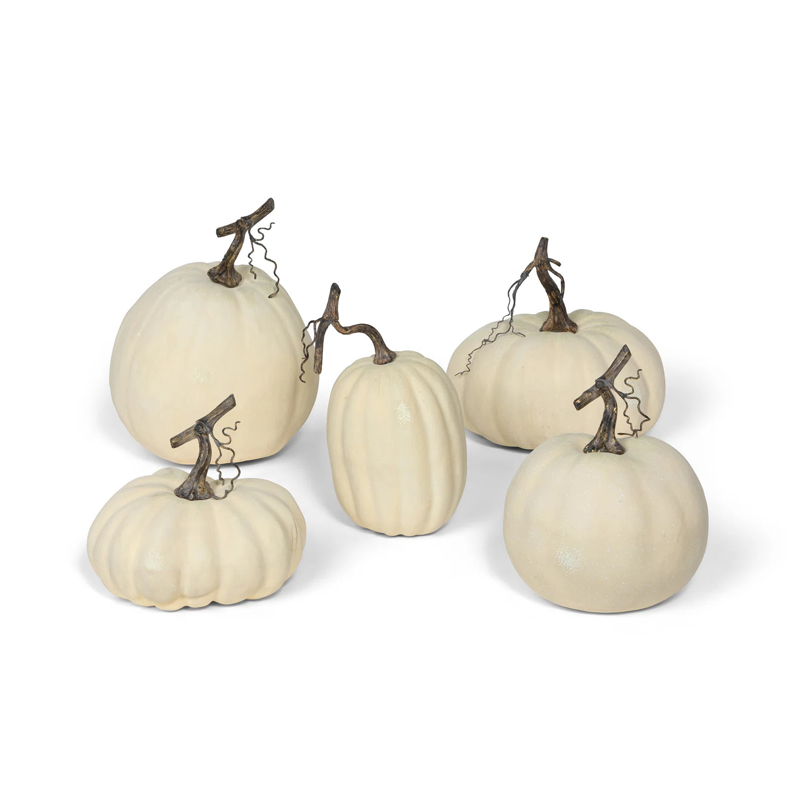 Full Moon Pumpkin Collection, Set Of 5 | Wayfair North America