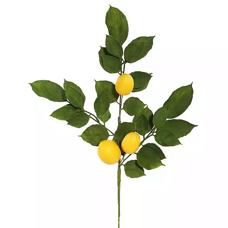 Lemon Leaf Spray Stems, Set of 4 | Kirkland's Home