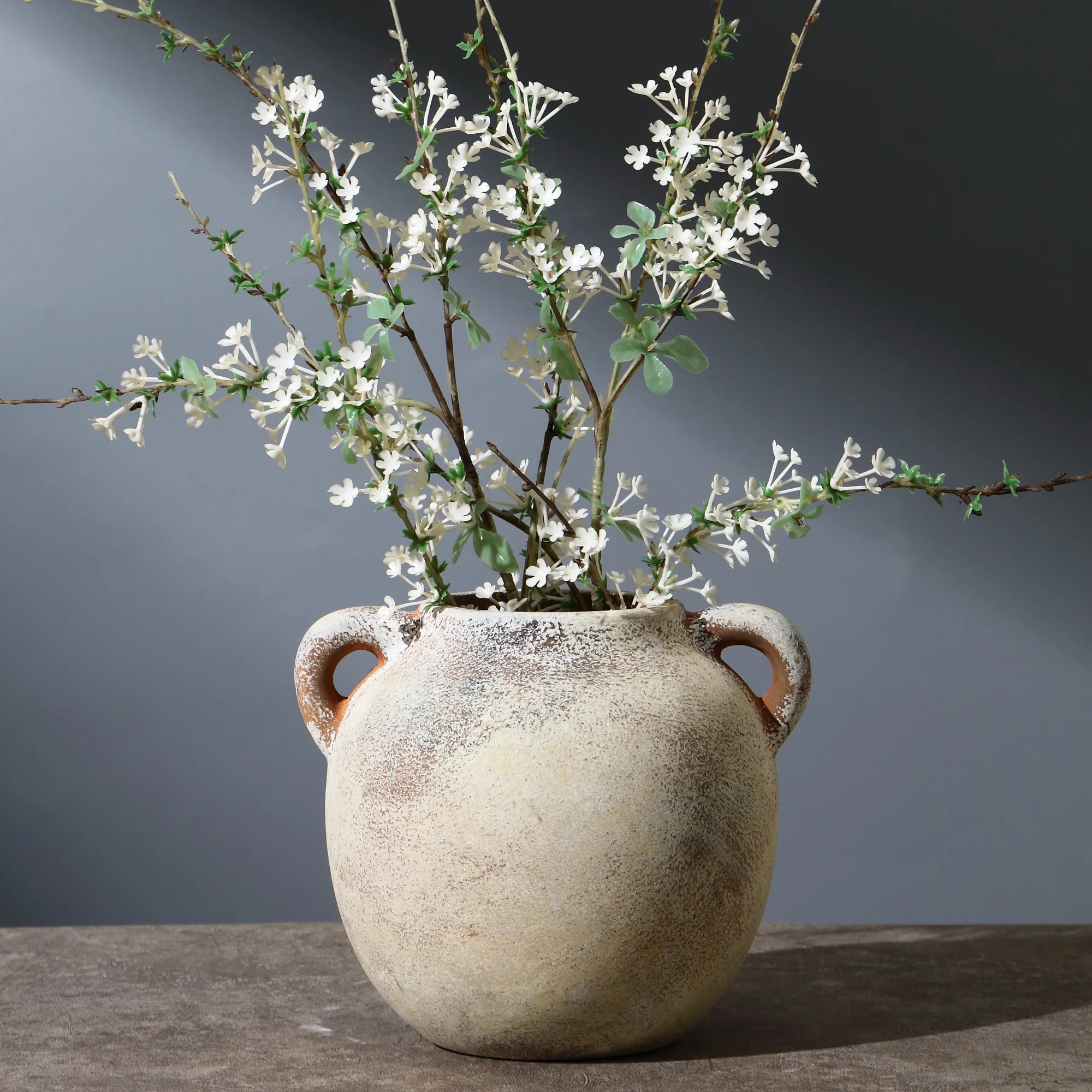 Ceramic Flower Vase with Handles, Decorative Terracotta Vase, Rustic Vases for Home Decor, Farmho... | Walmart (US)