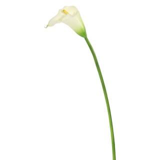 Artificial Ivory Large Stem Calla Lily | Michaels Stores