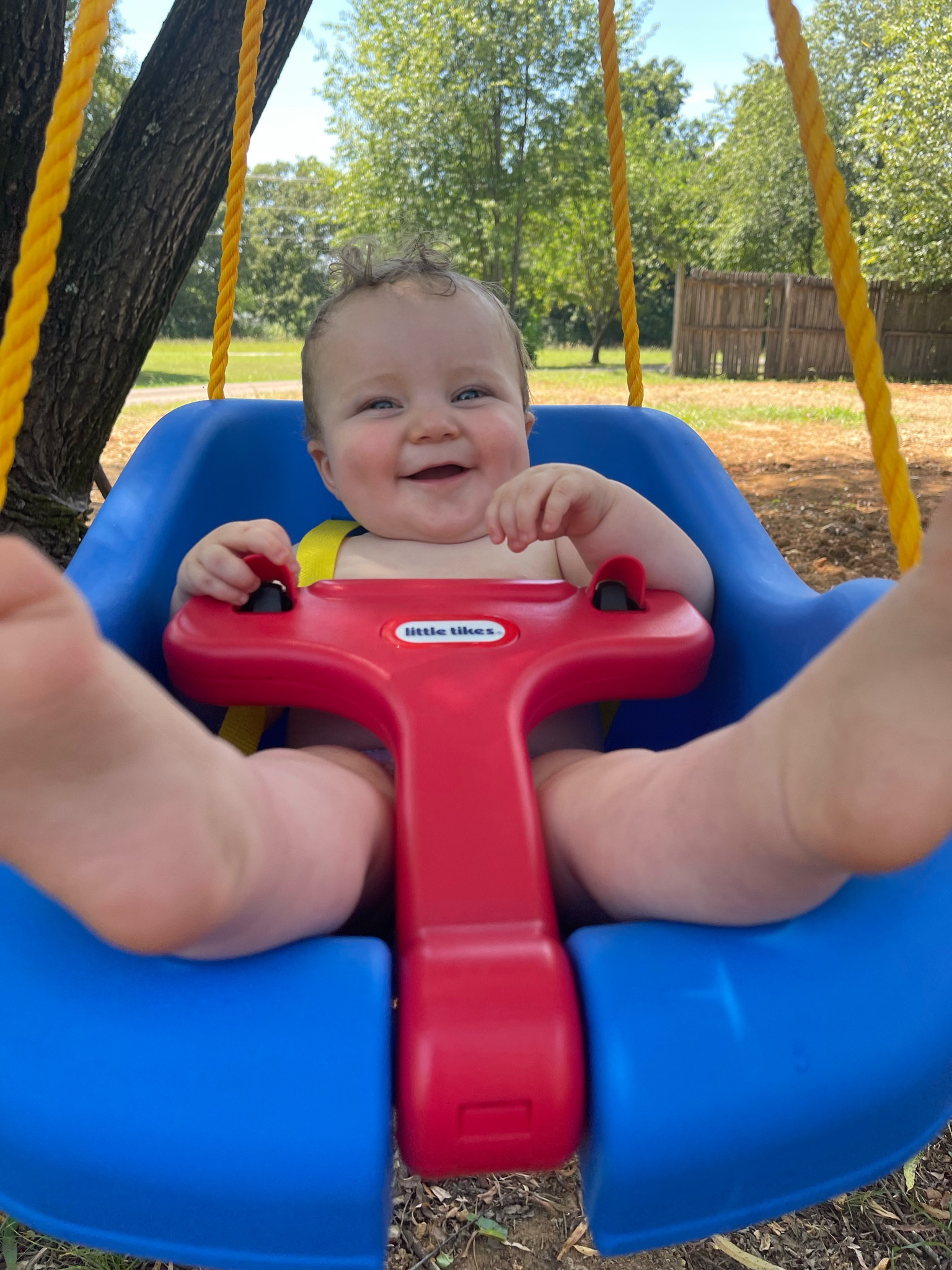 This timeless swing is the way to go! It would make the perfect baby shower gift or the perfect addition to your back yard this summer! It’s affordable and worth every penny! #babyshower #babygift #backyard #swing

#LTKkids #LTKunder50 #LTKbaby