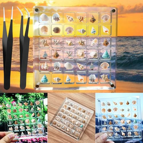 Vodolo Acrylic Magnetic Seashell Display Box,Clear Sea Shell Holder Display Box,Beach Shelling Collecting Tools,Magnet Storage Organizer Tiny Case for Seashell Diamond Beads,Transparent (36 grids) | Amazon (US)