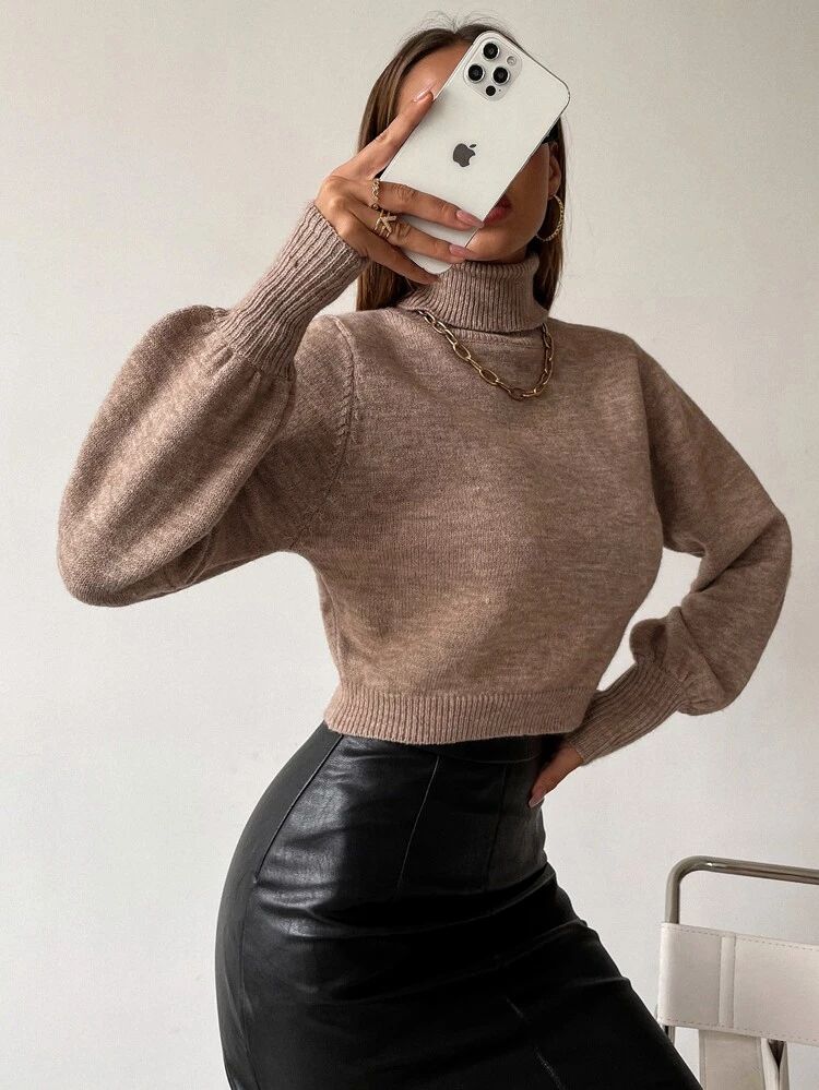 Solid High Neck Crop Sweater | SHEIN