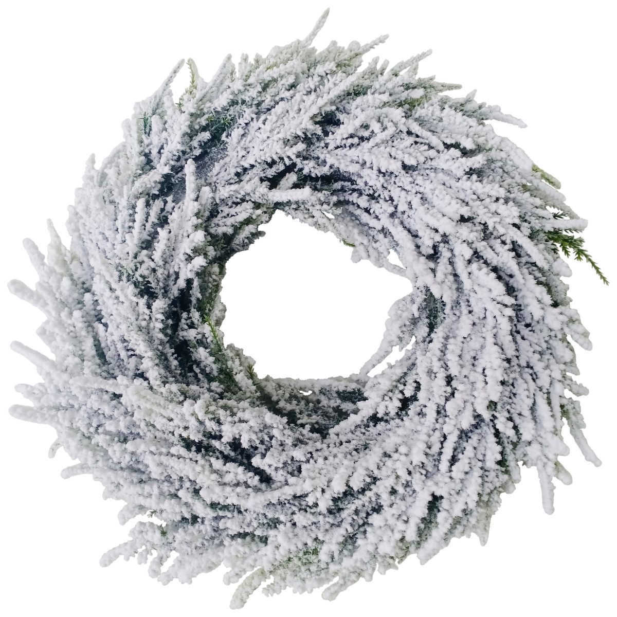 Northlight Heavily Flocked Pine Artificial Christmas Wreath, 11.75-Inch, Unlit | Target