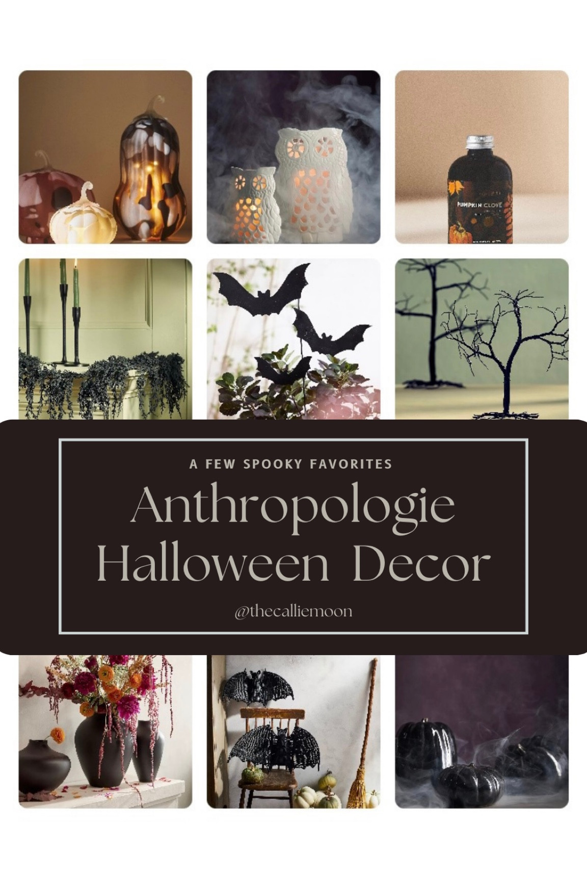 Anthropologie Halloween Decor

#LTKhome #LTKSeasonal #LTKHalloween