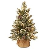 National Tree Company Pre-lit Artificial Mini Christmas Tree | Includes Small LED Lights, White Tipp | Amazon (US)