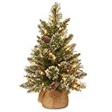 National Tree Company Pre-lit Artificial Mini Christmas Tree | Includes Small LED Lights, White Tipp | Amazon (US)