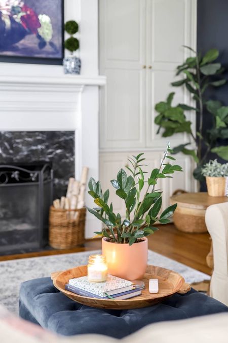 I use living and faux plants throughout my home. The Zz plant is a beautiful living plant and easy to care for.

#LTKHome