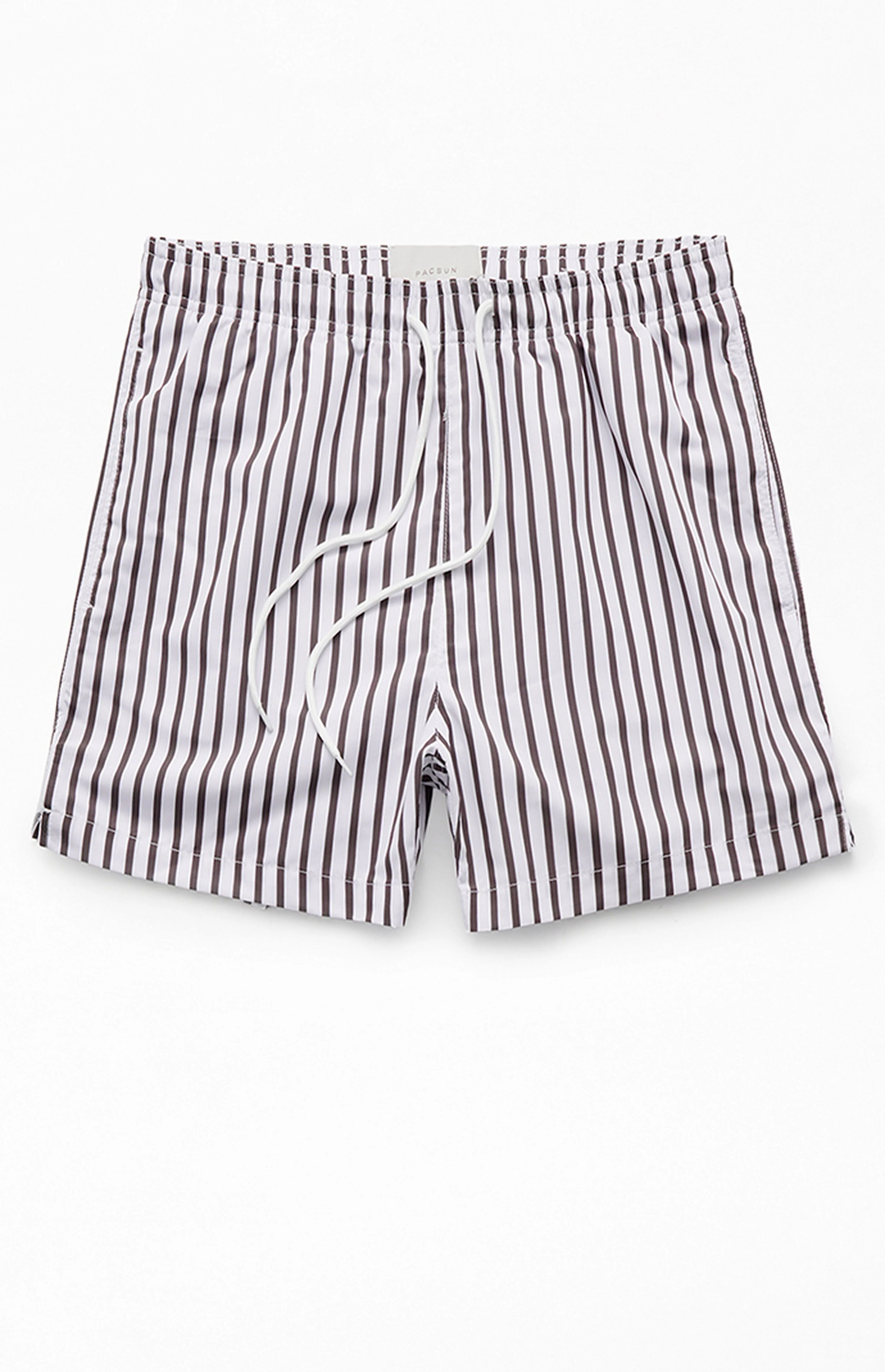 PacSun Vertical Stripe 4" Swim Trunks | PacSun