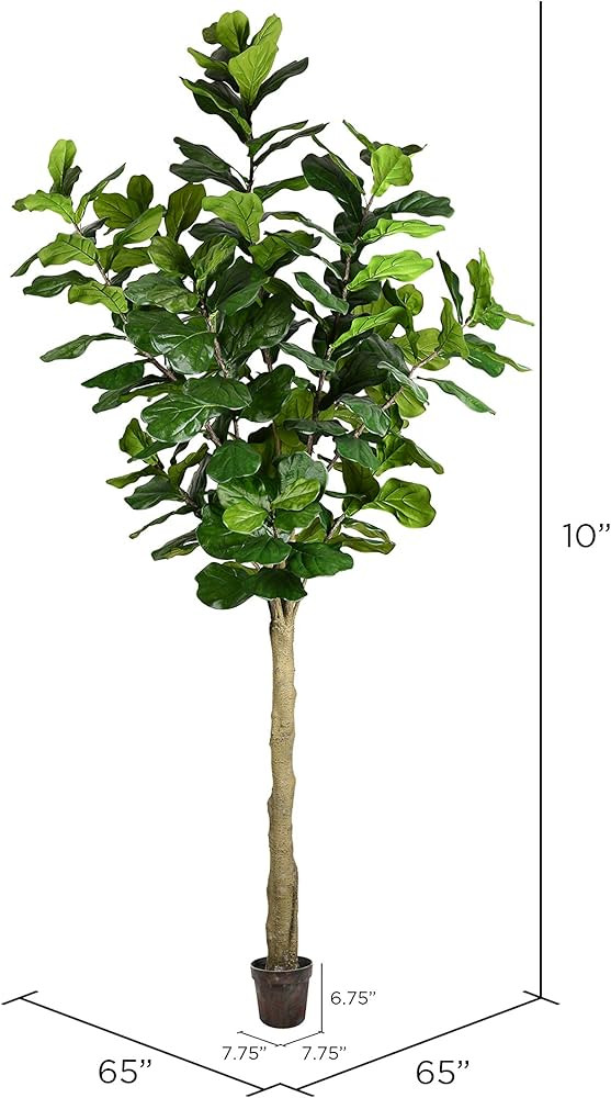 Vickerman Everyday Faux Fiddle Leaf Fig Tree 10ft Tall Green Silk Artificial Indoor Fiddle Plant wit | Amazon (US)