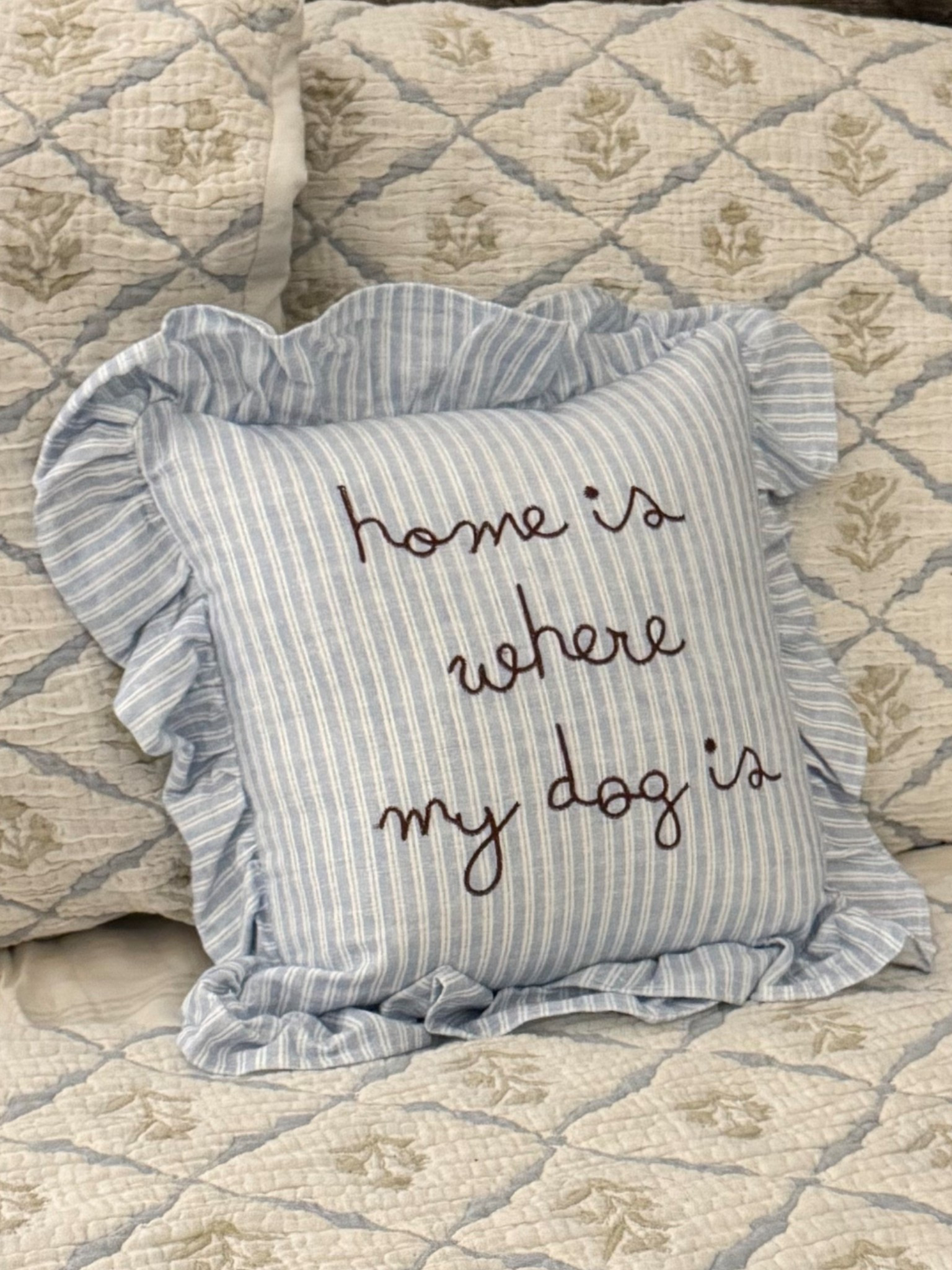 Home is where my dog is pillow from TJ Maxx 

#LTKdayinmylife #LTKHome