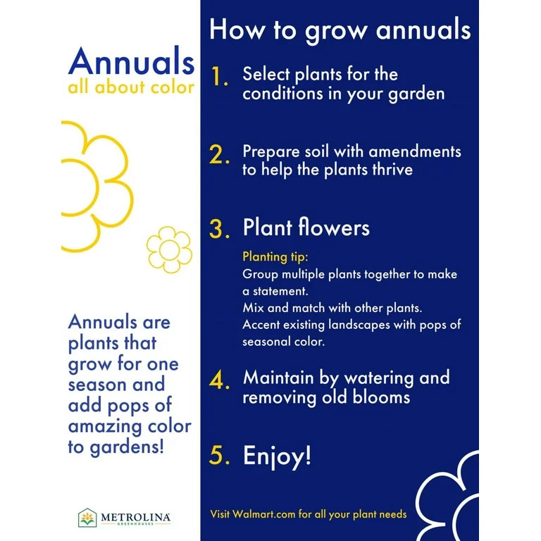 Better Homes & Gardens 3QT MultiColor Supercal Petunias Live Annual Plant Sun 2-Pack | Walmart (US)