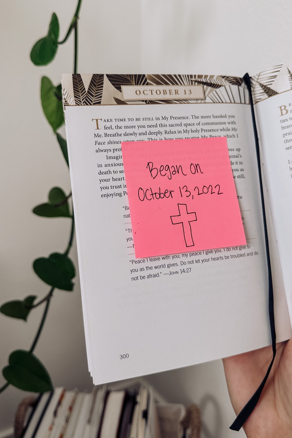 If you are looking for a great daily devotional, I just finished this one and loved it 🫶🏼 

#LTKU #LTKunder50 #devotional #church #churchoutfit #fall #falloutfits #travel #books #faith #devotionalbooks #amazon #amazonfinds #sunday #jesus #jesuscalling 

#LTKhome #LTKsalealert #LTKfamily
