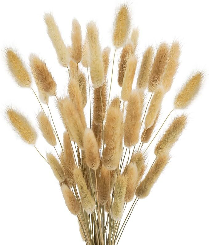 Uieke 17'' Natural Bunny Tails Dried Flowers, 120 Pcs Dried Lagurus Ovatus, Dried Brown Pampas Gr... | Amazon (US)