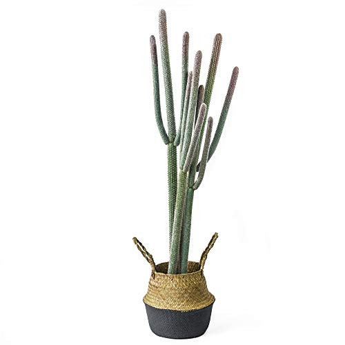 NCYP 4ft (48 Inch) Tall Artificial Cactus in Plastic Planter with Seagrass Basket - Faux Small Saguaro Cacti Potted for Home, Room, Office, Indoor Farmhouse Floor Decor, Fake Plants | Amazon (US)