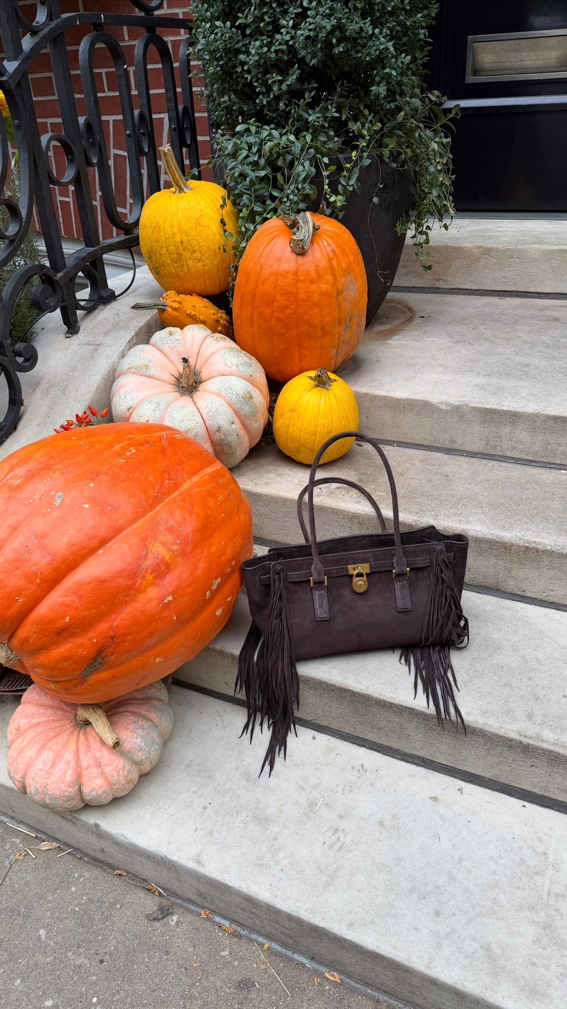 Love the @michaelkors Hamilton Moderne bag 🍂

#mkpartner #michaelkors #suedebag #fringebag #fallbag @shop.ltk #liketkit

@shop.ltk #liketkit 